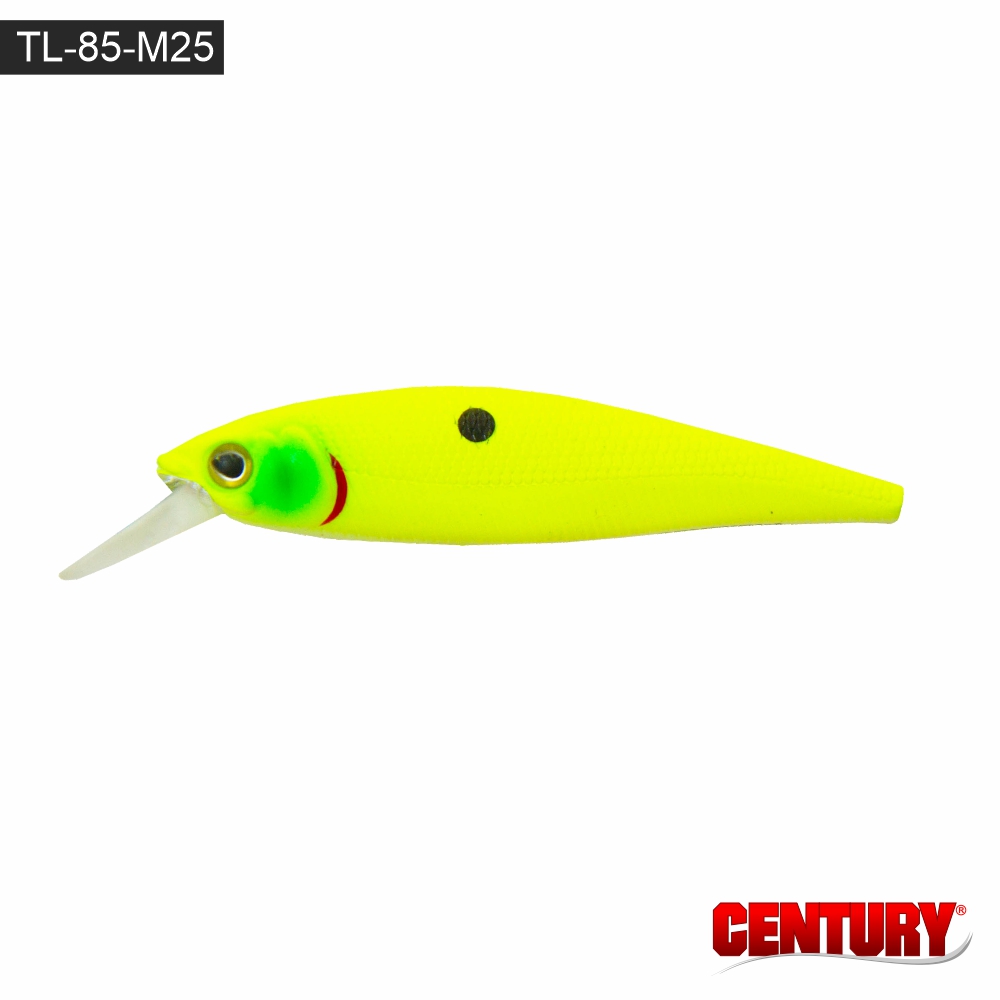 Isca Century - Tulipa TL-85 - Imagen 12